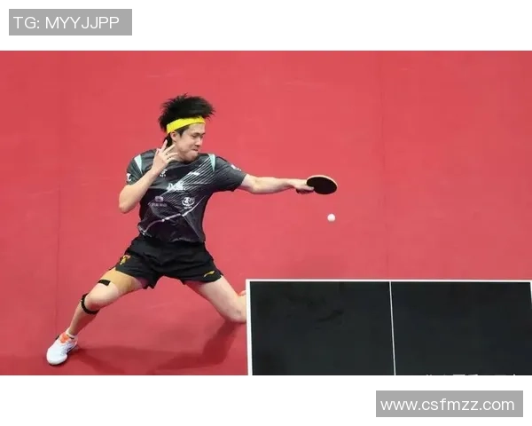 乒乓球意识排行榜揭晓上海乒乓球队荣登第六名引发关注