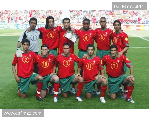 全球足球巨星汇总各国明星球员名单详解与分析